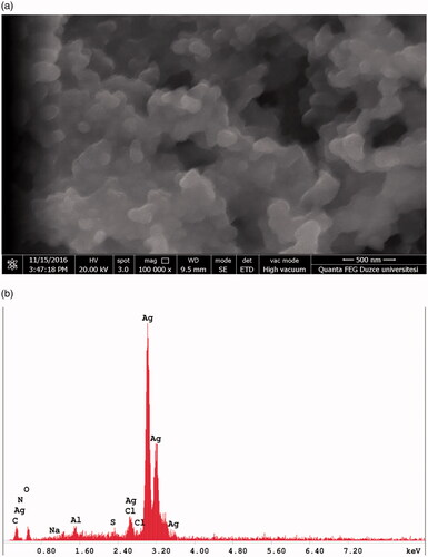 Figure 5. (a) SEM image of synthesized FILE-AgNPs. (b) EDX analysis of synthesized FILE-AgNPs.