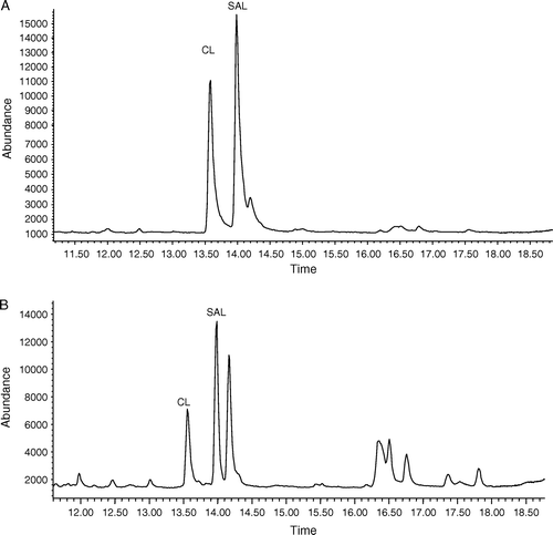 Figure 1.  Total ion chromatograms of SAL and CL standard (20 ng/ml) (A), and the fortified level of 10 ng/ml in blank urine (B).