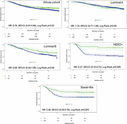 Figure 1. TIM-3+ iTILs association with BCSS in the whole (validation) cohort and by breast cancer subtype. Kaplan Meier curves of breast cancer-specific survival in breast cancer patients stratified by the presence or absence of TIM-3+ iTILs. KM curves in (A) the whole cohort, (B) Luminal A cases, (C) Luminal B, (D) HER2+ and (E) basal-like cases are shown with their corresponding numbers of patients, events and log rank p values. The number of patients still at risk at the end of each 5 years of follow-up is shown at the bottom of each panel