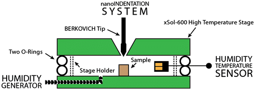 Figure 2. (colour online) A schematic representation of the experimental set-up.