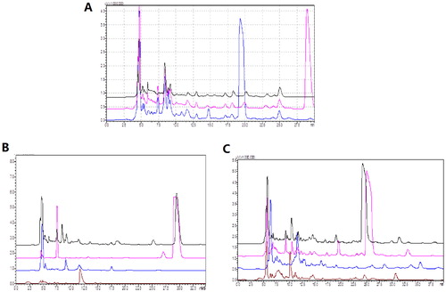 Figure 5. Determination of composition changes before and after fermentation by HPLC. (A) Chromatographic superposition of organic acids in TCMs before and after fermentation. Black: 0111 bacterial solution; Pink: TCM before fermentation; Blue: TCM after fermentation. (B) Chromatographic superposition diagram of single or mixed TCM water extracts. Black: mixed TCM; Pink: Galla chinensis; Blue: Herba taraxaci; Brown: Fructus mume. (C) Chromatographic superposition diagram of individual TCM fermentation broths and mixed TCM fermentation broth. Black: mixed TCM; Pink: Galla chinensis; Blue: Herba taraxaci; Brown: Fructus mume.