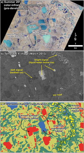 Figure 6. Views of the Crea Creek Watershed in the summer from high-resolution aerial photography (A); in the winter from synthetic aperture radar (SAR), showing bedfast- and floating-ice lakes (B); and classification of freshwater habitats using a combination of SAR, other remotely sensing analysis, and field studies (C) (after Jones et al. Citation2013).