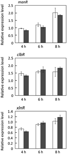 Fig. 5. Expression of manR, clbR, and XlnR in response to 1% (w/v) Avicel in MR12 (white bars) and ΔdppIV (black bars).