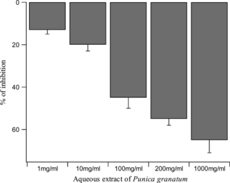 Figure 2 The inhibitory effect of the aqueous extract (AE) of Punica granatum. peels on acetylcholine (5 × 10−9 M) contractions of the rat ileum. Values are mean ± SE of six experiments.