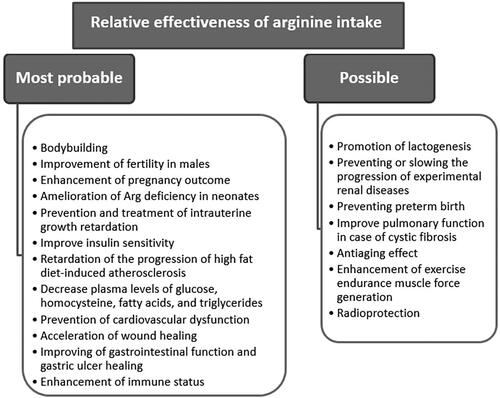 Figure 4. The relative effectiveness of the therapeutic and preventive use of Arg in various diseases, metabolic disorders and conditions of the body.