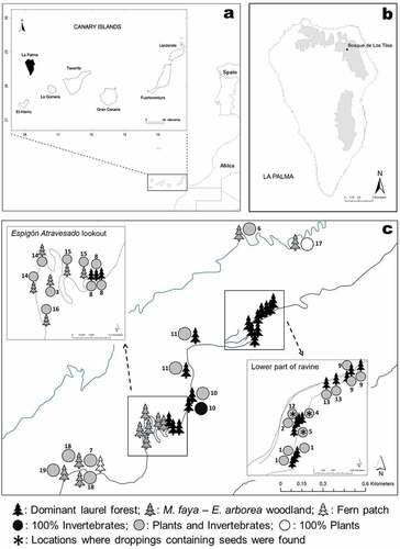 Figure 1. (a) Map of the Canary Islands showing the location of La Palma Island Biosphere Reserve. (b) Current distribution of the laurel forest (grey) on the island and the study area in Bosque de Los Tilos. (c) Percentages of invertebrates and plants consumed, as detected after the barcode analysis. Each circle represents one location (including one or more separate microsites c. 200 m apart), located in the three plant formations (dominant laurel forest, Morella faya – Erica arborea woodland and fern patch).