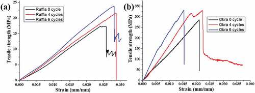 Figure 7. Typical stress–strain curves during the tensile strength test of untreated and hornified fibers at four and six cycles of (a) okra and (b) raffia.