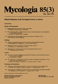 Cover image for Mycologia, Volume 85, Issue 3, 1993