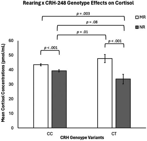 Figure 2. There were significant rearing effects on cortisol concentrations (p <.001), with NR subjects exhibiting lower cortisol concentrations, when compared to MR subjects. There was not a main effect for CRH-248 genotype on cortisol concentrations (p >.05). There was a rearing-by-CRH-248-genotype interaction (p =.024), with NR CC subjects exhibiting lower cortisol concentrations, when compared to MR CC subjects (p <.001). NR CT subjects exhibited lower cortisol concentrations, when compared to MR CT subjects (p =.001) and MR CC subjects (p = .003). NR CT subjects also exhibited lower cortisol concentrations than MR CT subjects (p = .01) and their cortisol concentrations trended lower, when compared to NR CC subjects (p = .08). MR subjects’ cortisol concentrations were undifferentiated by genotype (p >.05).