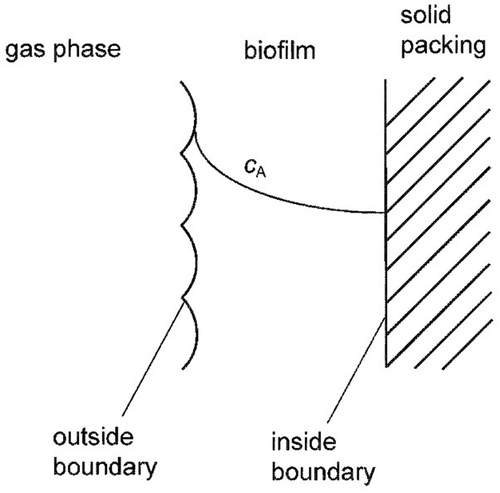 Figure 1. Schematics of a biofilm.