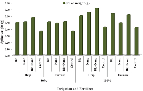 Figure 8. Combine Effect of irrigation method and fertilizer type on spike weight (g).