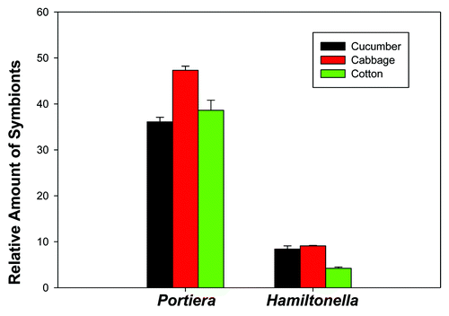 Figure 2. Relative amount of Portiera and Hamiltonella in three B. tabaci Q populations (cucumber, cabbage, and cotton) as determined by quantitative PCR (normalized according to the amount of actin gene). Values for relative amount of symbionts are means ± SEM of three replicates for each kind of plant. The data were analyzed with one-way analysis of variance. For each kind of symbiont, different letters above the bars indicate significant differences among the three populations (Tukey test, P < 0.05).