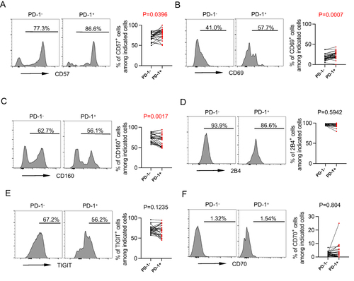 Figure 4 Other receptors on PD-1+ and PD-1− NK cells. Flow cytometry analysis of CD57 (A), CD69 (B), CD160 (C) and 2B4 (D), TIGIT (E) and CD70 (F) expression on PD-1− vs PD-1+ NK cells from the elderly (60–90 years, n = 26). Representative histograms (left) and plots (right) displayed the expression of the above receptors PD-1− vs PD-1+ NK cells from the same individual. The p-values were obtained by paired t-test (CD57, CD69, CD160, TIGIT) or Wilcoxon matched-pairs signed rank test (2B4 and CD70).