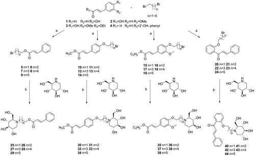 Scheme 1. Synthesis of intermediate products and target products of N-alkyl-deoxynojirimycin derivatives. Reagents and condition: (a) K2CO3, acetone, dibromo alkane, 65 °C, overnight or Et3N, acetone, dibromo alkane, 65 °C; (b) K2CO3, DMF, 85 °C, 6 h.