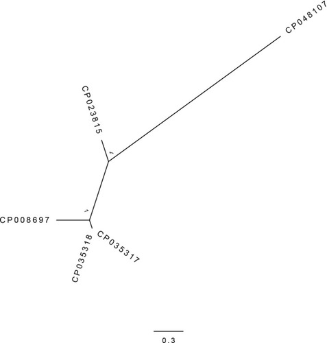 Figure 1 Phylogenetic relatedness of the E. coli ST648 strains. The figure represents the phylogenetic tree of four E. coli ST648 strains available as full genome sequences in Genbank as well as the strain (Genbank ID: CP048107) investigated in this study. The four resistance strains were respectively isolated from a hospital of Beijing in 2009 (Genbank ID: CP008697), a hospital of Greek in 2018 (Genbank ID: CP035318 and CP035317) and a wild bird of Germany in 2012 (Genbank ID: CP023815).