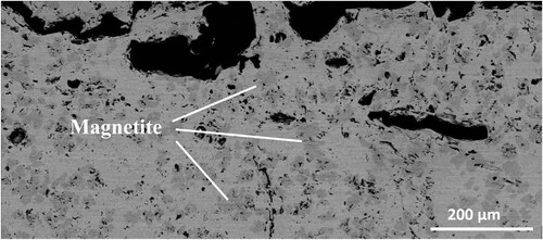 Figure 3. BSE-SEM images showing the examples of magnetite precipitates in wustite in the scale of Steel 1.