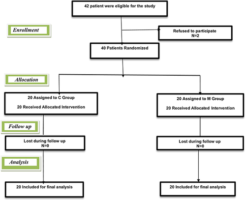 Figure 1 Participant flow chart of 42 patients with abdominal cancer (Wilms tumor or neuroblastoma) who underwent abdominal surgery was assessed for eligibility; 2 patients refused to participate; 40 patients were enrolled in two group; group (C): control group (N=20) group (M): magnesium sulphate group (N=20).