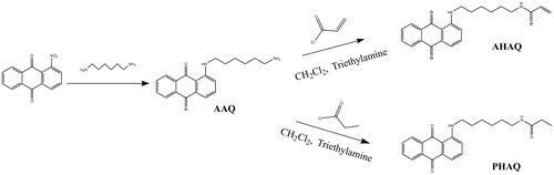 Scheme 1. Synthesis of AHAQ and PHAQ.