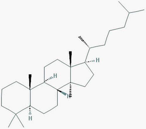 Figure 3. Lanostane or (5S,8R,9S,10R,13R,14S,17R)-4,4,10,13,14-pentamethyl-17-[(2R)-6-methylheptan-2-yl]-2,3,5,6,7,8,9,11,12, 15,16,17-dodecahydro-1H-cyclopenta[a]phenanthrene. From: https://pubchem.ncbi.nlm.nih.gov/compound/Lanostane.