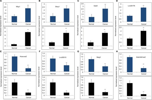 Figure 7 Validation of the microarray data (blue) using qRT-PCR (black).