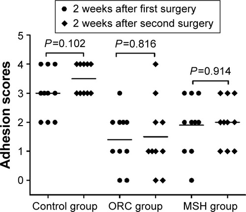 Figure 3 The adhesion scores of the control, ORC, and MSH groups at 2 weeks after first or second surgery.