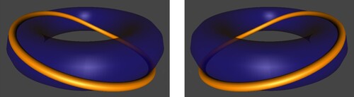 Figure 9. A (1,1) torus knot (left) and a (1,−1) torus knot (right) both traverse the surface of the torus meridianally exactly once at the same time as traversing it longitudinally exactly once.