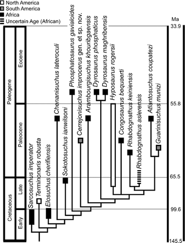 FIGURE 10 Phylogenetic relationship placed in stratigraphic and paleobiogeographic context. Dates from Gradstein et al., 2004.