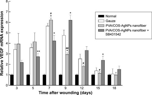 Figure S4 VEGF expression to study the effect of angiogenesis on wound healing.Notes: Highest VEGF expression was observed in PVA/COS-AgNPs nanofiber group. Values are mean ± standard deviation. *P<0.05 and **P<0.01 vs gauze group, #P<0.05 and ##P<0.01 vs PVA/COS-AgNPs nanofiber plus SB431542 group.Abbreviations: VEGF, vascular endothelial growth factor; PVA, poly(vinyl alcohol); COS, chitosan oligosaccharide; AgNPs, silver nanoparticles.