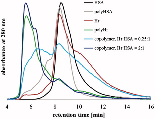 Figure 3. Gel filtration size exclusion chromatograms of 6 mM GL (co)polymerized samples.