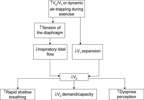 Figure 2 Flow chart showing the deductive mechanism of ventilatory dysfunction and perception of dyspnea at peak exercise in patients with chronic obstructive pulmonary disease complicated with impaired peripheral oxygenation.