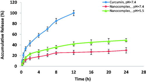 Figure 6. The in vitro release profile of the encapsulated curcumin from the nanocomplex versus free-from curcumin.