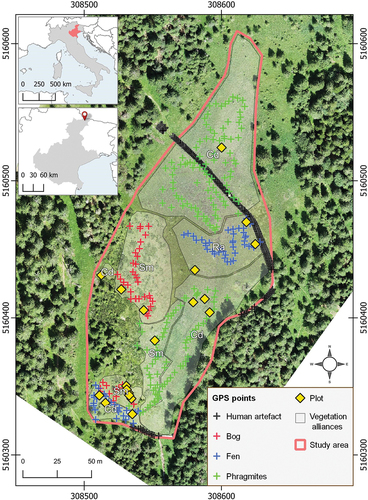 Figure 1. Study area. The background is the UAV-extracted orthophoto. The grey polygons highlight the core area of the vegetational alliances (cd = Caricion davallinae, ra = Rhynchosporion albae, sm = Sphagnion magellanici), while GPS colored crosses indicate the morphotypes. The coordinate reference system is WGS 84/UTM zone 33N (EPSG: 32633).