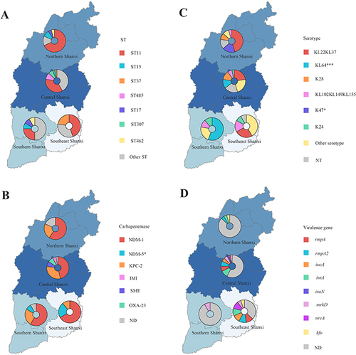 Figure 3 Distribution of ST (A), carbapenemase (B), serotype (C) and virulence gene (D) of Carbapenem-Resistant Klebsiella pneumoniae in different regions of Shanxi Province, China. *P<0.05, ***P<0.001.