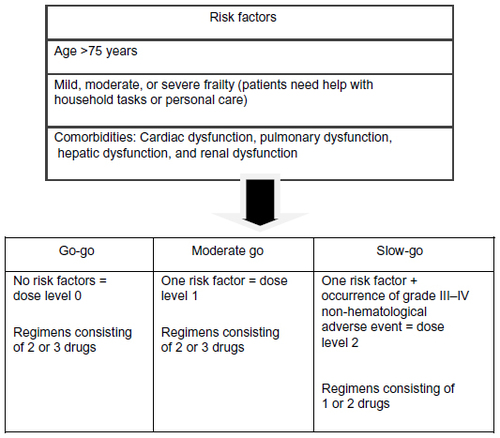 Figure 2 Risk factors and adapted treatment approaches for elderly patients.