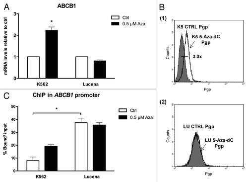 Figure 5. Effect of 5-Aza-dC treatment on ABCB1/Pgp levels and LRPPRC binding to the invMED1 site. (A)ABCB1 mRNA levels were evaluated after 24 h of 0.5 μM 5-Aza-dC treatment. Total RNA was isolated and used in RT-qPCR to determine changes in ABCB1 mRNA levels after normalization to β-actin expression. (B) Representative histograms of Pgp expression after 0.5 μM 5-Aza-dC treatment (1): K562 ctrl and 5-Aza-dC-treated K562 cells (2): Lucena ctrl and Lucena cells treated with 5-Aza-dC. PE-isotype antibody was used as a control. (C) RT-qPCR quantification of LRPPRC binding to the ABCB1 promoter in 5-Aza-dC-treated K562 and Lucena cells. DNA amplification was quantified in bound and unbound fractions after normalization with SMAD8 nonspecific amplification. Normalized fractions were used to calculate the bound/input ratio. The results are expressed as the mean ± SD for three independent experiments. Ctrl: control; K5: K562; LU: Lucena.