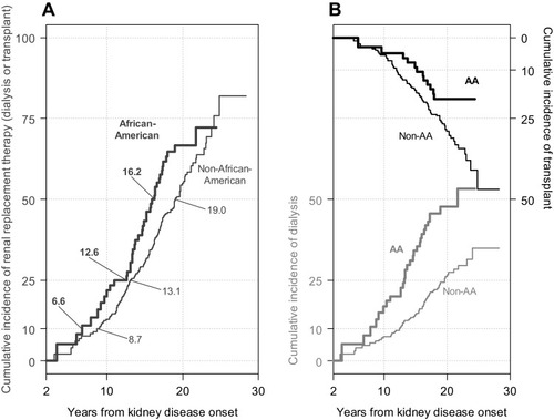 Figure 1 Extended nonparametric (solid) cumulative incidence functions of composite RRT (A) and first occurrence of dialysis (grey) or transplant (black) as competing events (B), by African-American (bold), and non-African-American (unbolded) participants with a pediatric diagnosis of kidney disease.