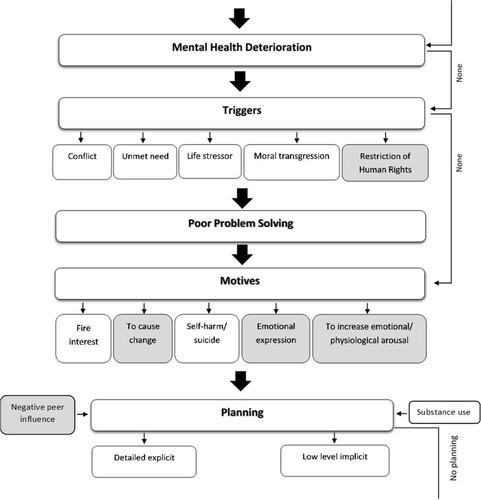 Figure 3. Phase 3: pre-offence period.