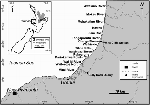 Figure 1. Location of study area and outcrops in north Taranaki, North Island, New Zealand. Samples were collected from Taranaki coastal cliffs and two inland exposures (dots). Outcrop location names are referred to in Table 1, Figure 2 and the text. Inset shows location of enlarged map within New Zealand. Contemporary late Miocene volcanism (shaded grey) from King & Thrasher (Citation1996) and Adams et al. (Citation1994).