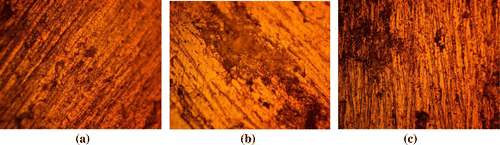 Figure 5. Morphology of 1070AL with 10% SiC content from 2 M H2SO4 at (a) 0% NaCl, (b) 0.5% NaCl and (c) 1% NaCl solution.