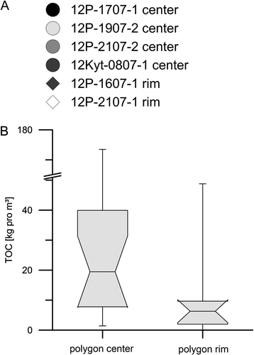 Figure 11. (A) OM inventory of the polygon cores and (B) box-whisker plots of center (n = 16) and rim (n = 8) samples