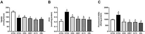 Figure 6 Glycoxidative stress biomarkers in liver of streptozotocin-induced diabetic rats treated for 35 days with yoghurt enriched with lycopene, alone or in combination with metformin. Levels of TBARS (A), PCO (B), fluorescent AGEs (C). Values are expressed in terms of mean ± standard error of the mean (SEM), n = 10. Differences between groups were analyzed using one-way ANOVA followed by the Student-Newman-Keuls test (p < 0.05): aDifferences to NYOG; bDifferences to DYOG.Abbreviations: NYOG, normal rats treated with yoghurt; DYOG, diabetic rats treated with yoghurt; DINS, diabetic rats treated with 4U/day insulin; DMET, diabetic rats treated with 250 mg/kg metformin in yoghurt; DLYC, diabetic rats treated with 45 mg/kg lycopene in yoghurt; DML, diabetic rats treated with 250 mg/kg metformin + 45 mg/kg lycopene in yoghurt.