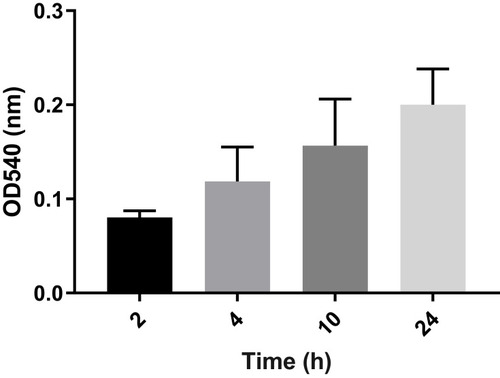 Figure 1 Average ODs of E. coli biofilm after different time intervals (2, 4, 10, and 24 hours). Bar graph shows weak biofilm formation at 2 and 4 hours (OD~0.08–0.11), moderate biofilm formation at 10 hours (OD~0.157), and mature biofilm at 24 hours (OD~0.20). Error bars show SD from the mean value of all 21 strains.