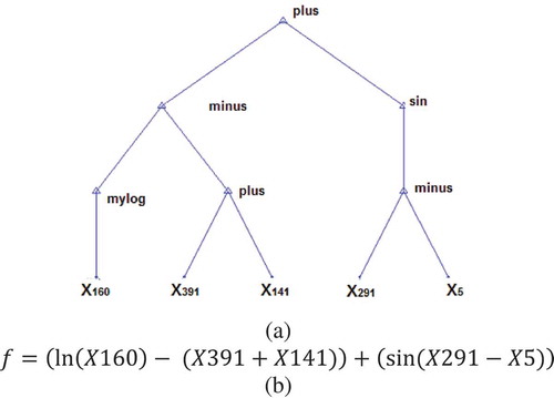 Figure 8. (a) Tree representation and (b) relation of tree.