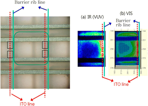 Figure 10. A schematic drawing which shows the distribution of the IR (VUV) and VIS in a PDP cell when the segmented ITO is aligned near the sidewall.