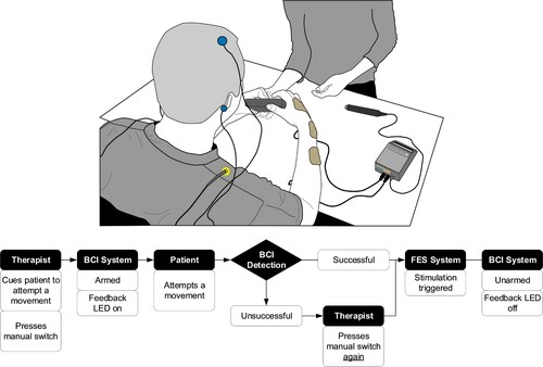 Figure 1 Top: The conceptual illustration of the BCI-FEST intervention, displaying the EEG electrodes placed on the participant’s scalp and the FES electrode placed on the participant’s arms and hands. The figure also shows an LED used to inform the therapist on the state of the BCI system. The LED is placed on the shoulder allowing the participant to focus on the practiced movements and not the operation of the BCI. The therapist standing across from the participant is guiding the movement and has access to the integrated system via the manual switch placed on the table. Bottom: Diagram displaying the sequence of events in a single BCI-FEST movement phase.