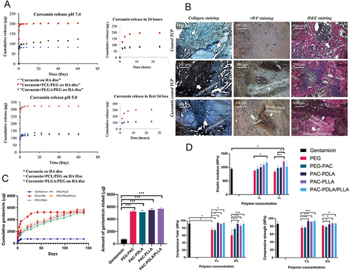 Figure 5 (A) The release profile of curcumin from HA in pH7.4 and pH5.0 showed that the release of curcumin in the first 24 hours increased by 39% and 64%, respectively, compared with that without polymer. (B) Optical microscopy images of extracellular matrix formation, angiogenesis and bone formation after 6 weeks of rat femur surgery. (C) In vitro release curve of gentamicin from each doped polymer (1%) cement. Compared with the control group (Gentamicin), the release of gentamicin mixed with cement increased significantly (***p<0.0001). (D) Elastic modulus, compressive yield and compressive strength of various polymer-doped cements with polymer content of 1% and 5%. Comparing the mechanical strength of each group, some of them have improved their mechanical properties in different degrees (*p<0.05, ***p<0.0001).