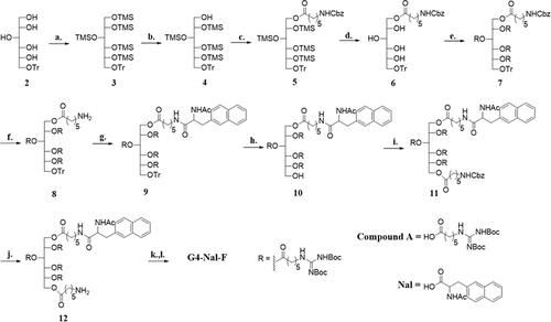 Scheme 1. Synthesis of G4-Nal-F: (a) TMSCl, pyridine, 0 °C → rt, 2 days, (b) NH4OAc, MeOH/CH2Cl2 (6:1), rt, 12 h, (c) N-Cbz aminohexanoic acid, EDC, DMAP, dry CH2Cl2, rt, 12 h, (d) TBAF, dry THF, ice bath, 1 h, (e) Compound A, EDC, DMAP, molecular sieves powder 4 Å, dry CH2Cl2, rt, 3 days, (f) H2(g), 30 psi, 10% Pd/C, MeOH/CH2Cl2 (5:2), 6 h, (g) Nal, EDC, DMAP, dry CH2Cl2, rt, 1 day, (h) 2.5% TFA in CH2Cl2, −15 → 0 °C, 15 min, CH2Cl2, (i) N-Cbz aminohexanoic acid, EDC, DMAP, dry CH2Cl2, rt, 2 days, (j) H2(g), 30 psi, 10% Pd/C, 24 h, MeOH/CH2Cl2 (5:2), (k) FITC, Et3N, THF/EtOH (2:4), 16 h, rt, (l) 1 M HCl(g) in EtOAc, rt, 24 h.