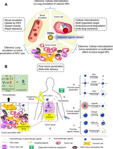 Figure 1 MSR-DDSs for tumor precise treatment. (A) The design dilemmas of nanomedicine as the compound physiological/pathological barriers. (B) MSR-DDSs overcome a series of barriers and dilemmas through integrating different single stimulus response strategies. (a–c) NPs response the stimulus to realize function by changes their structure; (d) MSR-DDSs target tumor tissue by responding endogenous or exogenous stimuli; (e–h) MSR-DDSs further response stimuli to realize immune cells, tumor cells, other tumor-associated cells effective delivery, or theranostic.