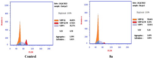 Figure 11. Effect of compound 8a (10.95 μM) on DNA-ploidy flow cytometric analysis of PC-3 cells after 24 h.