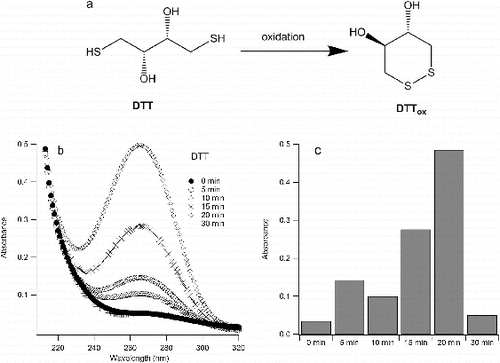 FIG. 3. (a) Oxidation of DTT; (b) absorbance spectra of oxidized DTT upon sonication in water; (c) absorption of oxidized DTT at 270 nm (λmax).